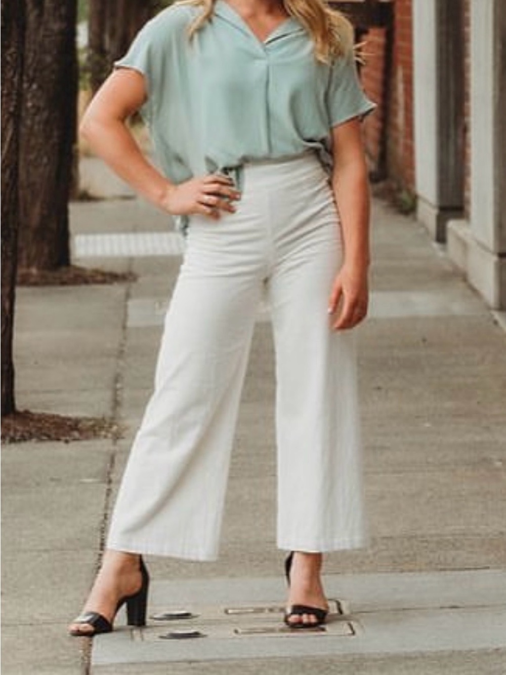 Linen Sage Wide Leg High-Rise Pants in Off-White